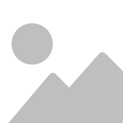 Holiday Luxury House